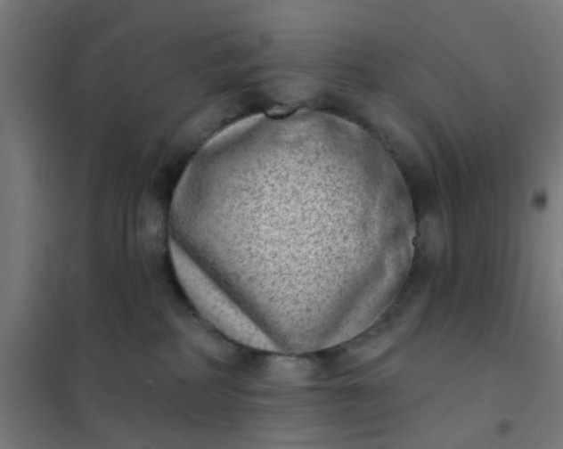 X0000101700234200807241440