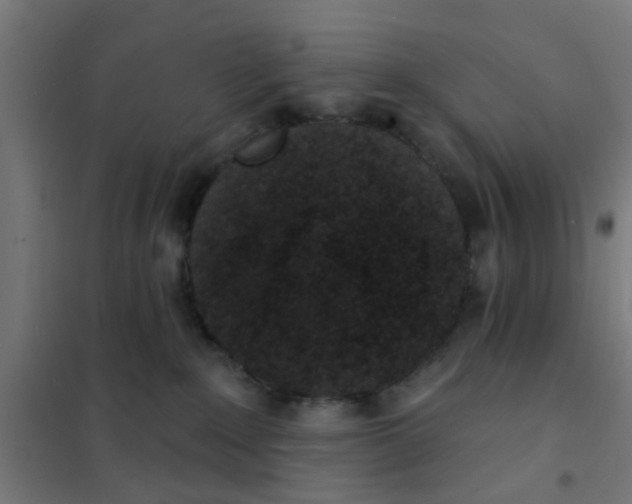 X0000101700235200807241440