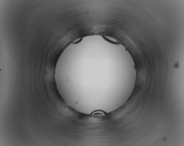 X0000101700236200807241440