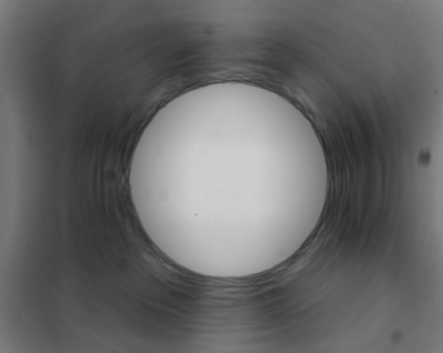 X0000101700237200807241440