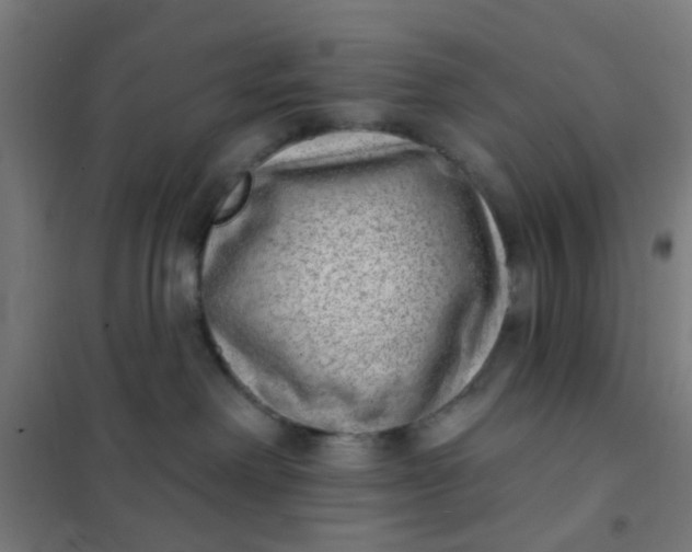 X0000101700238200807241440