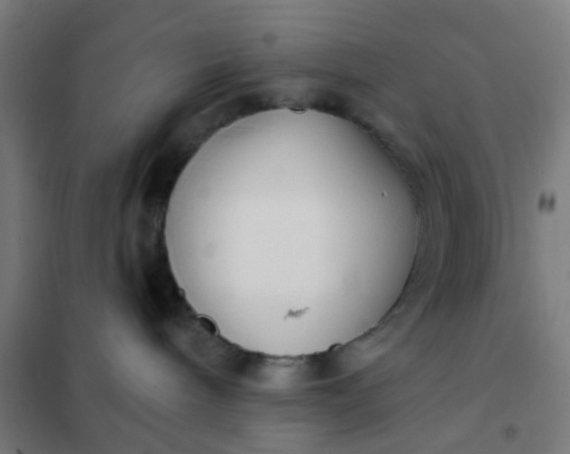 X0000101700240200807241440