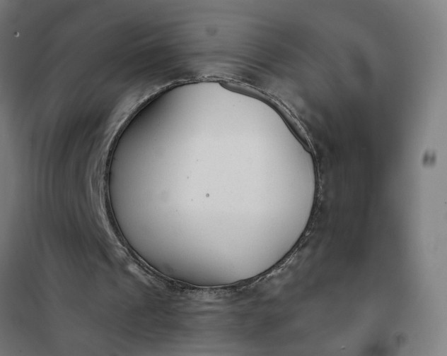 X0000101700241200807241439