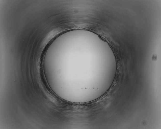 X0000101700242200807241439