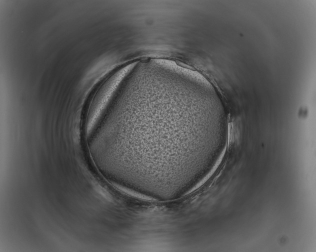 X0000101700243200807241439