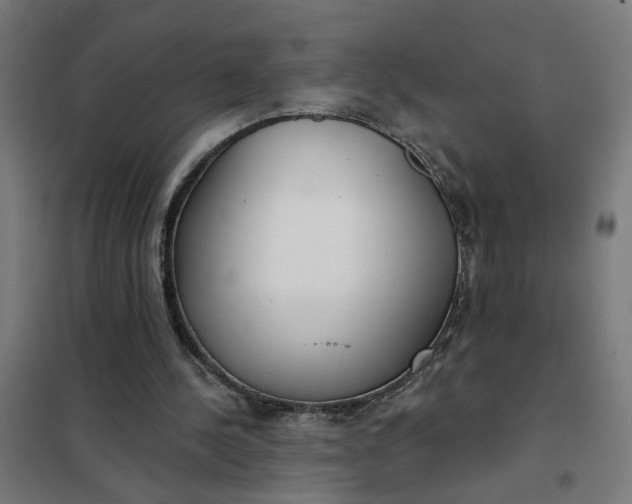 X0000101700244200807241439