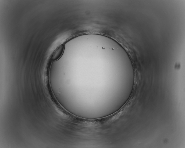 X0000101700245200807241439