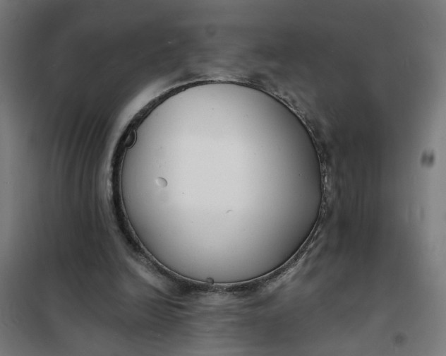 X0000101700246200807241439