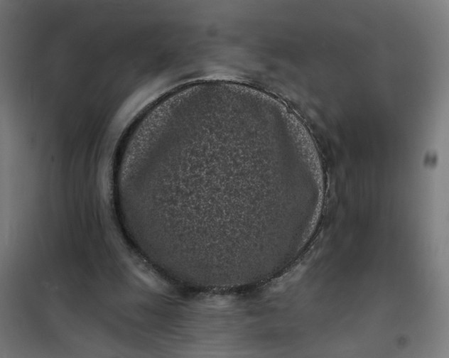 X0000101700247200807241439