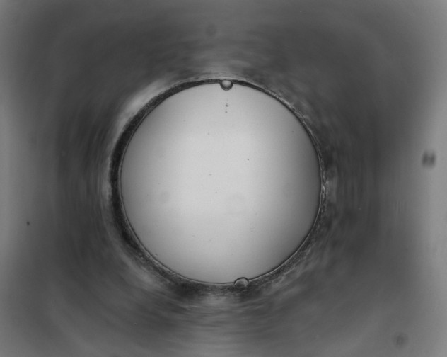 X0000101700248200807241439