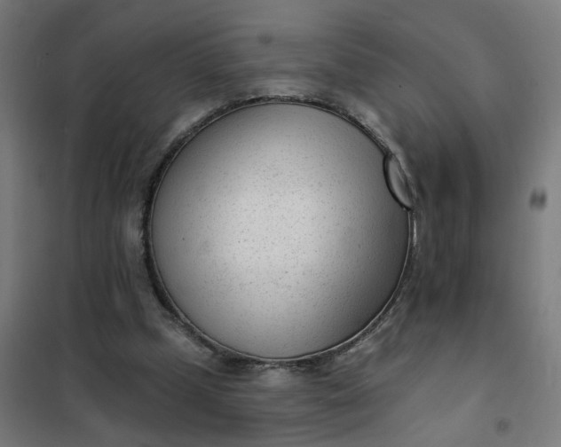 X0000101700249200807241439