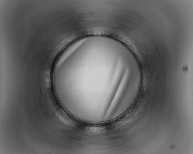 X0000101700251200807241439