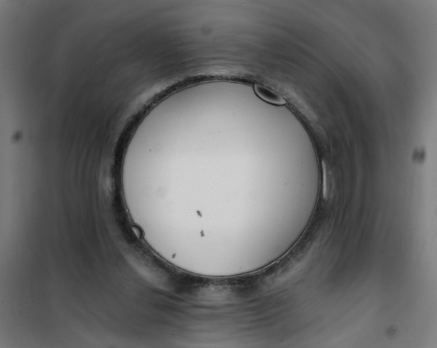 X0000101700252200807241439