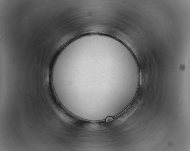 X0000101700253200807241439