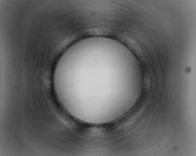 X0000101700255200807241439