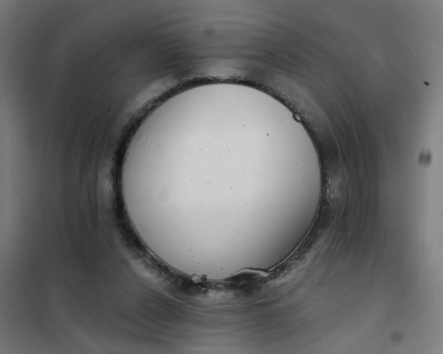 X0000101700256200807241439