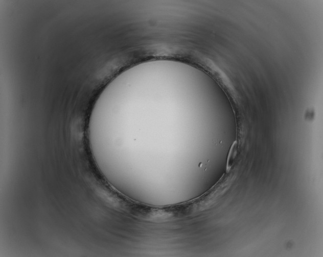 X0000101700257200807241439