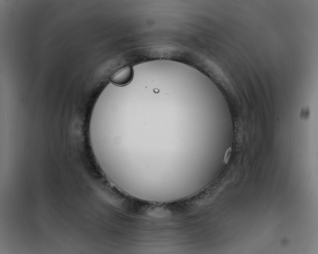 X0000101700258200807241439