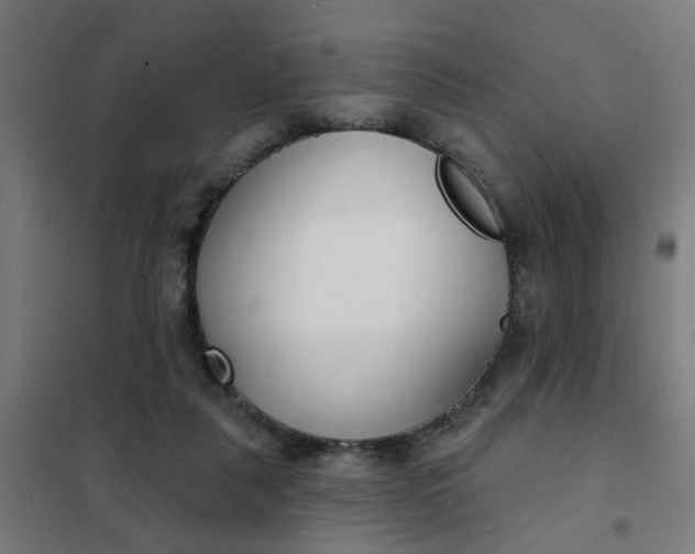 X0000101700259200807241439