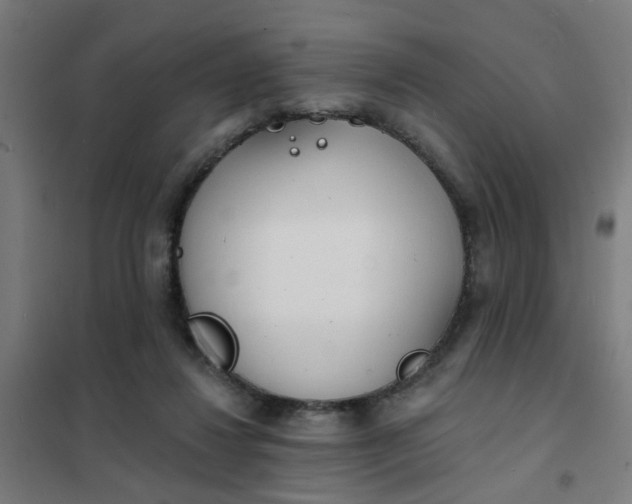 X0000101700260200807241439