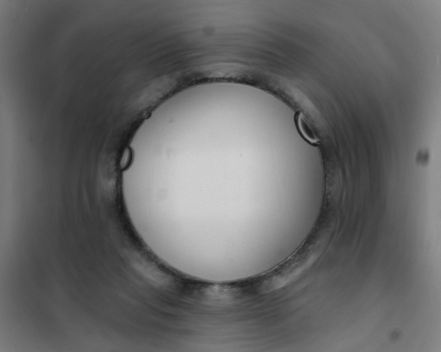 X0000101700261200807241439