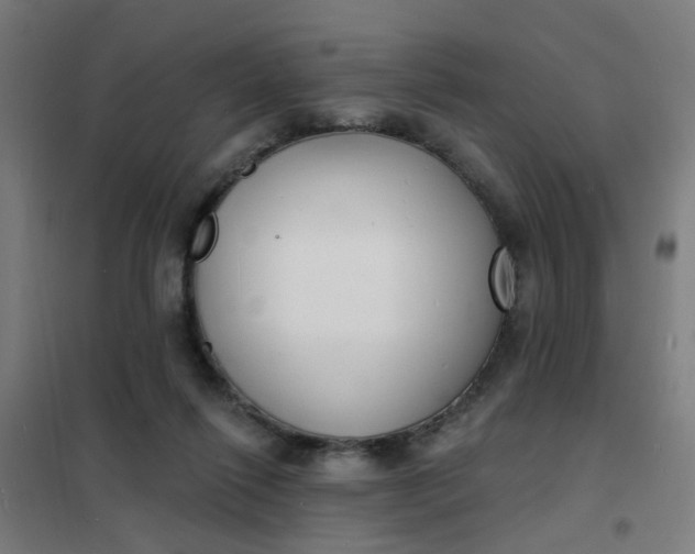 X0000101700262200807241440