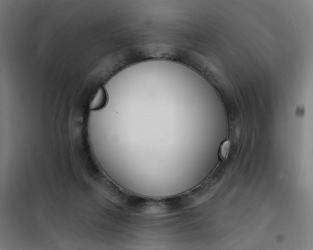 X0000101700263200807241440