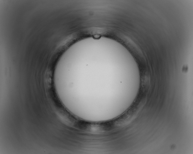 X0000101700264200807241440