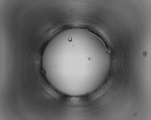 X0000101700265200807241440