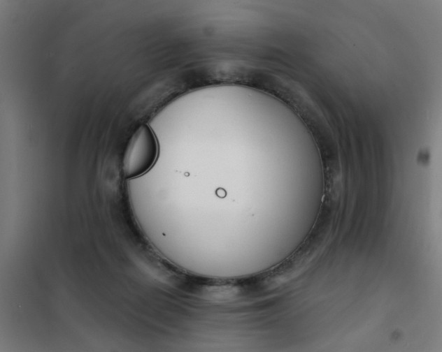 X0000101700266200807241440