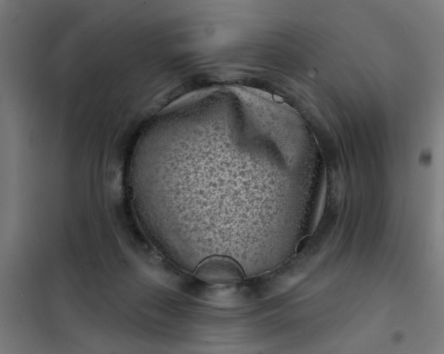 X0000101700267200807241440