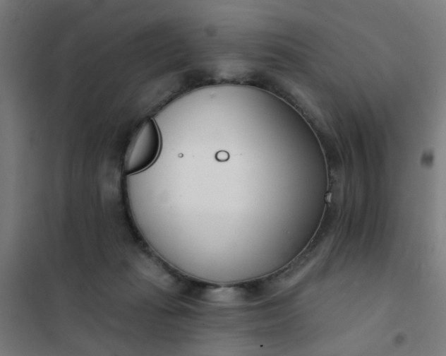 X0000101700269200807241440