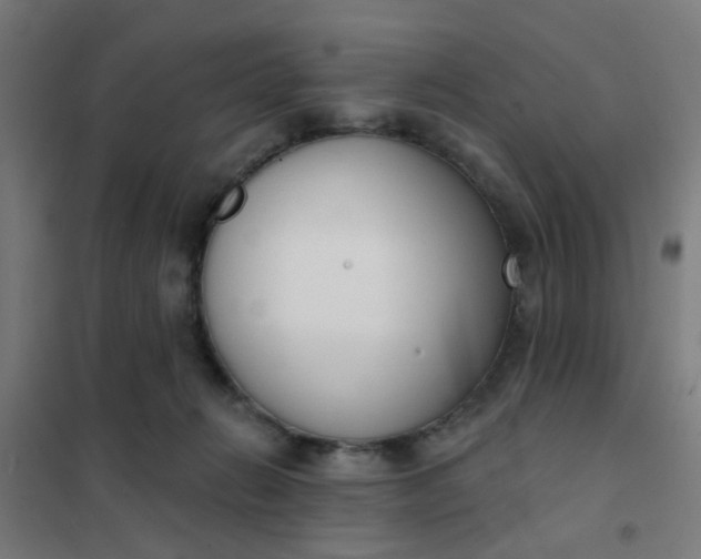 X0000101700270200807241440