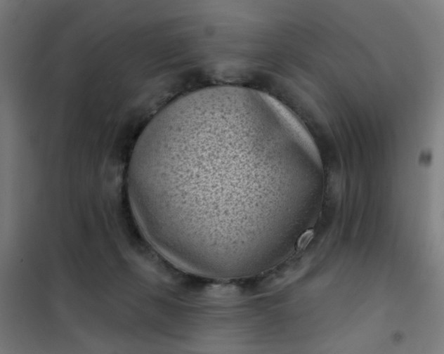 X0000101700271200807241440