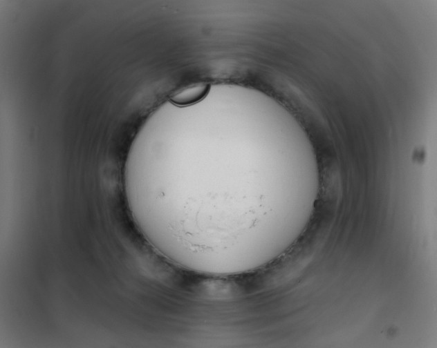 X0000101700272200807241440