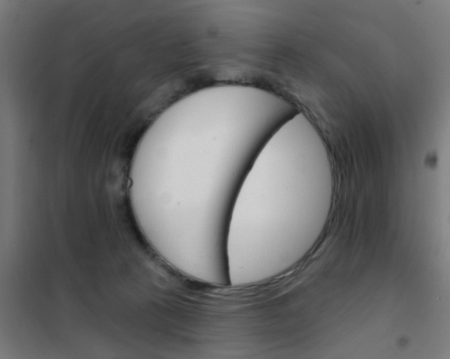 X0000101700273200807241440