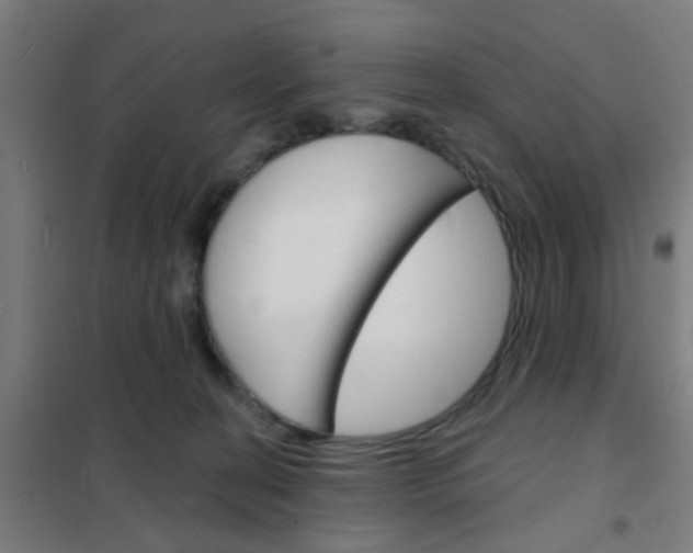 X0000101700274200807241440