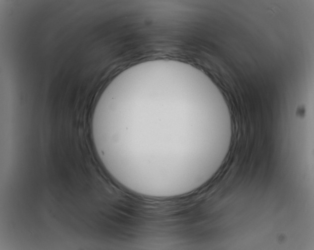 X0000101700276200807241440