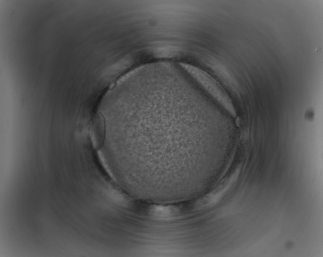 X0000101700277200807241440