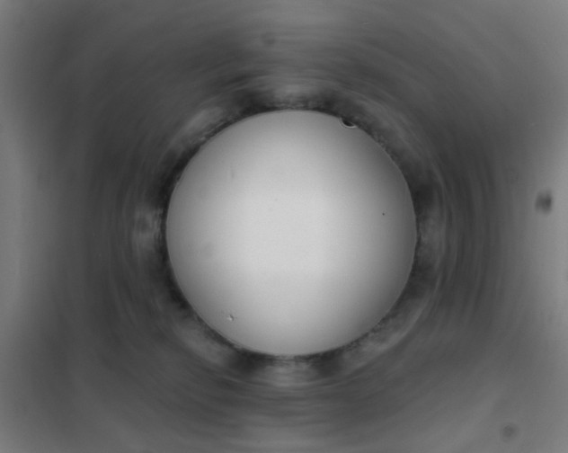 X0000101700278200807241440