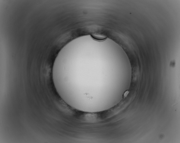 X0000101700279200807241440