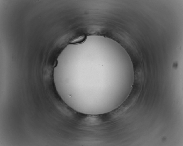 X0000101700280200807241440