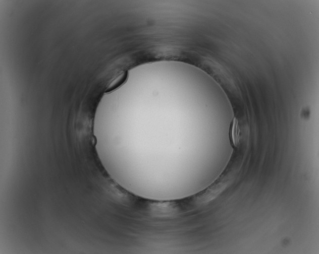 X0000101700281200807241440