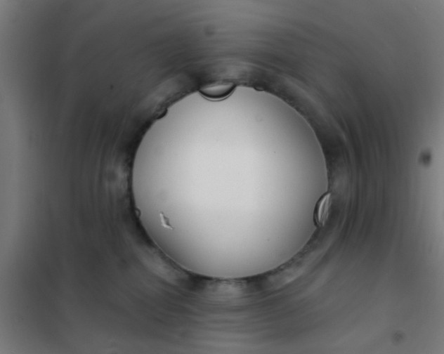 X0000101700282200807241440