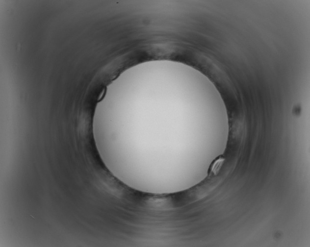 X0000101700283200807241440