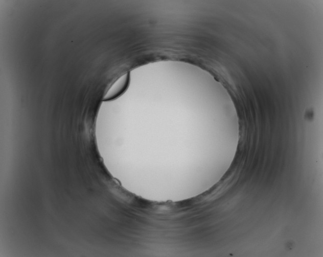 X0000101700285200807241440