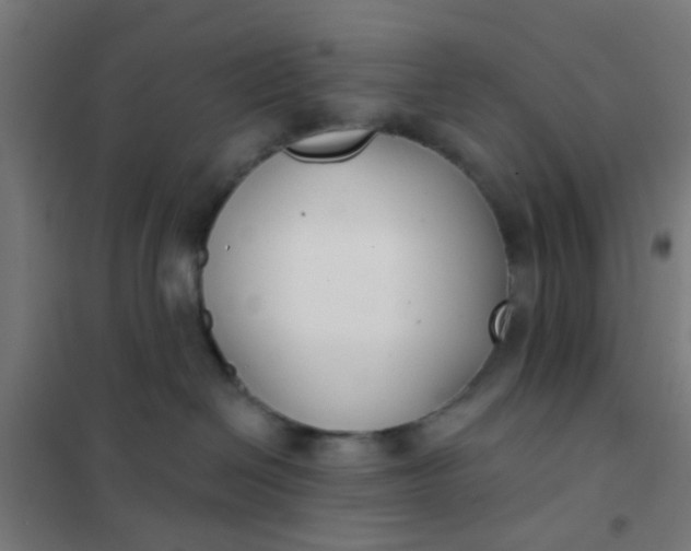 X0000101700286200807241440