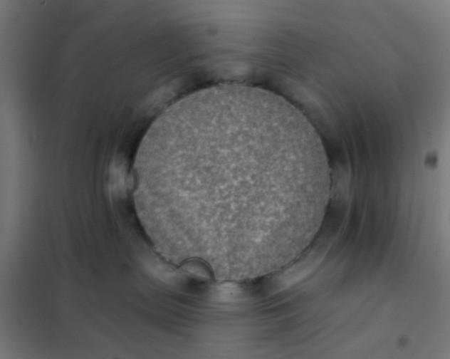 X0000101700287200807241440