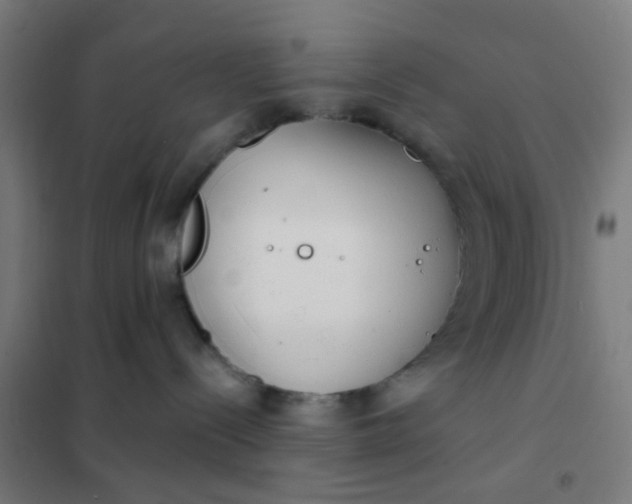 X0000101700288200807241440