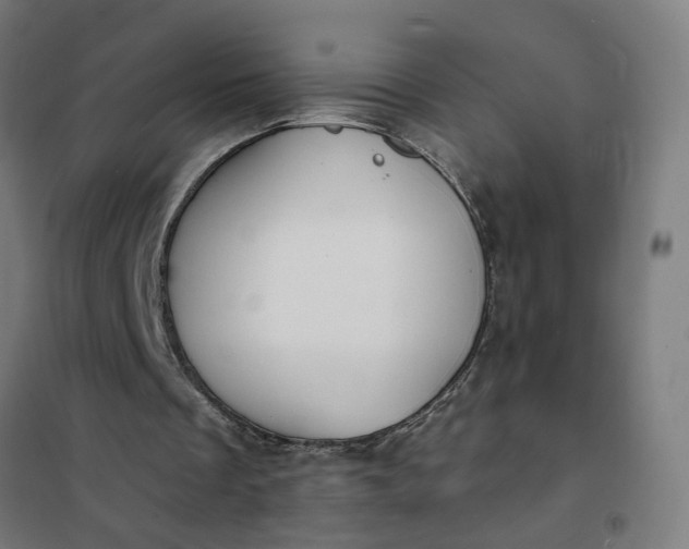 X0000101700289200807241439